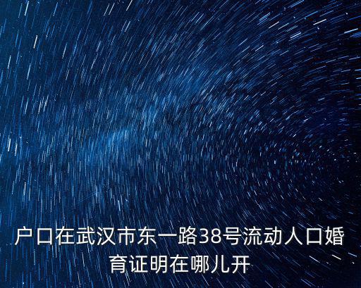 戶口在武漢市東一路38號流動人口婚育證明在哪兒開