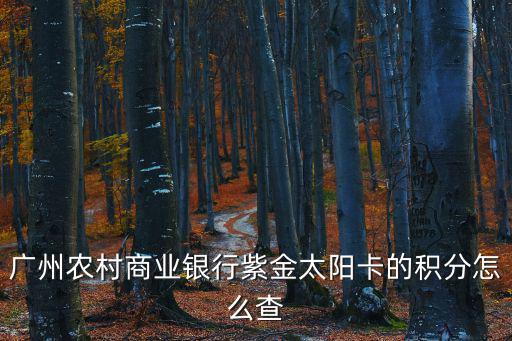 廣州怎么查個人積分，在廣州網(wǎng)上車管所網(wǎng)址上如何查詢個人駕駛證扣分情況