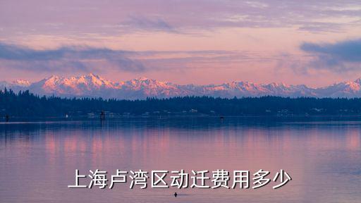 上海盧灣區動遷費用多少
