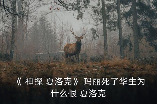 神探夏洛克瑪麗,《神探夏洛克》第一集:妻子為丈夫擋槍死