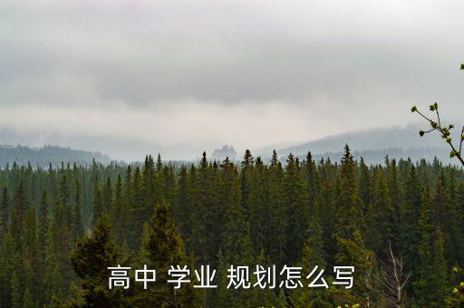 高中 學業 規劃怎么寫