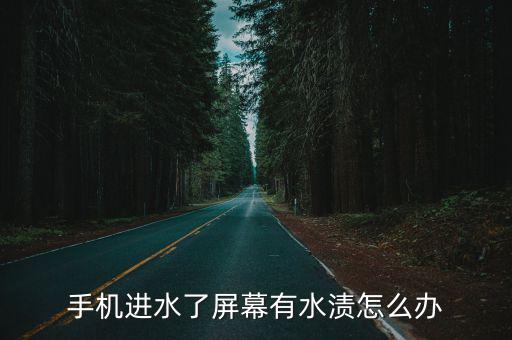 手機進水了屏幕有水漬怎么辦