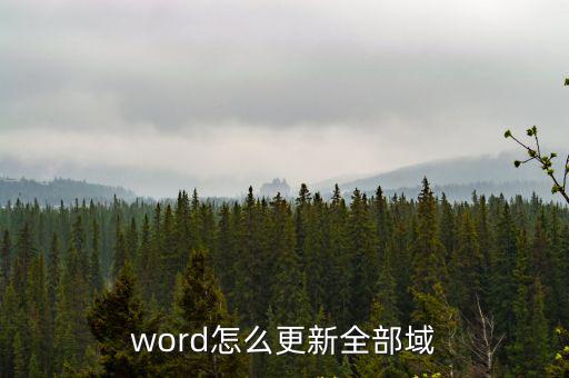 word怎么更新全部域