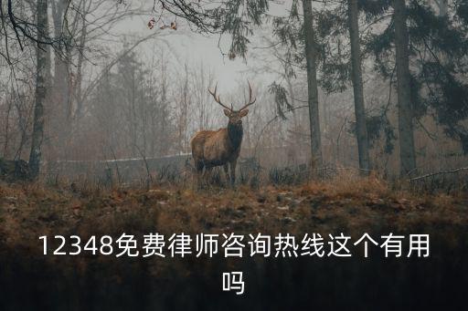 12348免費律師咨詢熱線這個有用嗎