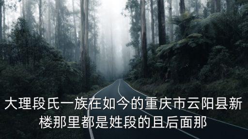 大理段氏一族在如今的重慶市云陽縣新樓那里都是姓段的且后面那