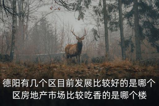 德陽有幾個區目前發展比較好的是哪個區房地產市場比較吃香的是哪個樓
