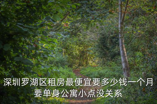 深圳羅湖區(qū)租房最便宜要多少錢一個月要單身公寓小點沒關系