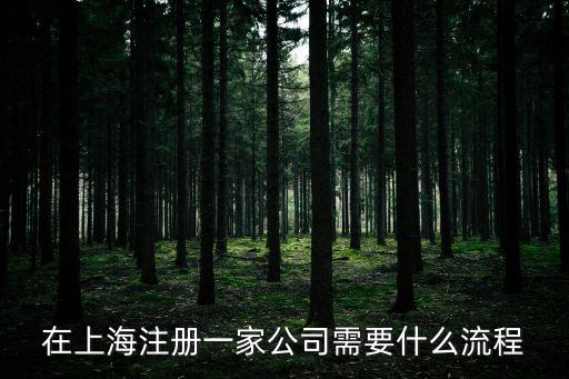 在上海注冊一家公司需要什么流程