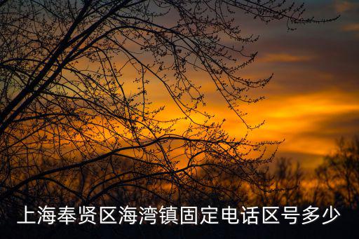 上海奉賢區(qū)海灣鎮(zhèn)固定電話(huà)區(qū)號(hào)多少