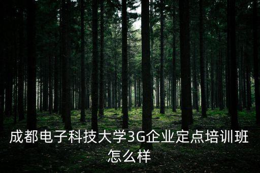 成都電子科技大學(xué)3G企業(yè)定點(diǎn)培訓(xùn)班怎么樣