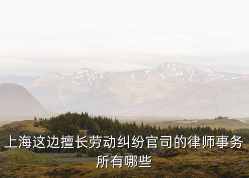 上海這邊擅長勞動糾紛官司的律師事務所有哪些