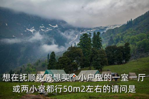 想在撫順買房想買個小戶型的一室一廳或兩小室都行50m2左右的請問是