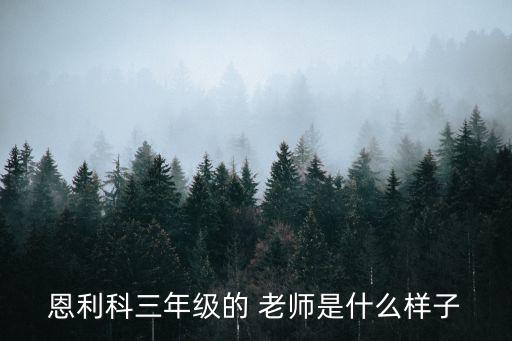 恩利科三年級的 老師是什么樣子