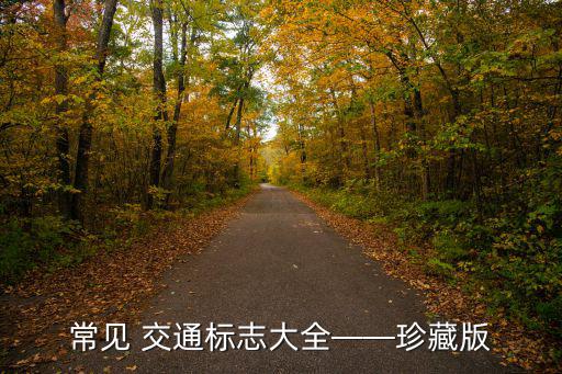常見 交通標志大全——珍藏版