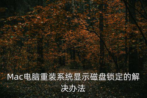 Mac電腦重裝系統顯示磁盤鎖定的解決辦法