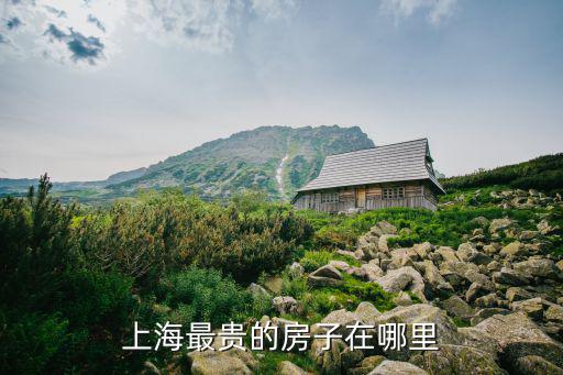 上海哪個地點房價最貴，上海最貴的小區