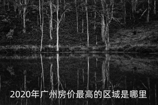 2020年廣州房?jī)r(jià)最高的區(qū)域是哪里