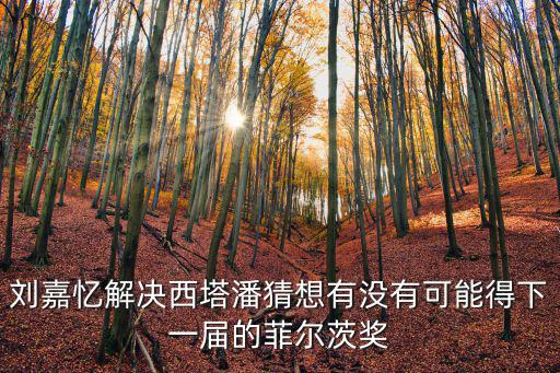 劉嘉憶解決西塔潘猜想有沒有可能得下一屆的菲爾茨獎(jiǎng)
