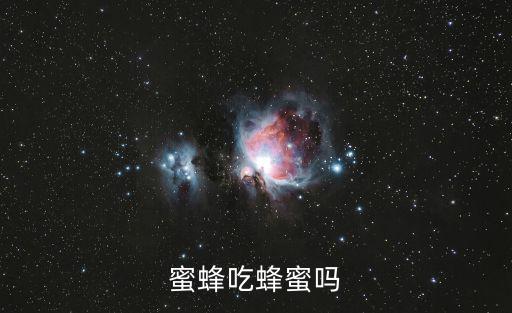 蜜蜂蜂蜜,蜜蜂吃蜂蜜嗎?為防不備存儲蜜蜂這樣做
