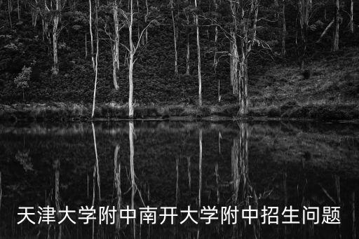 天津市南開大學附屬中學 合作辦學，天津南大附中