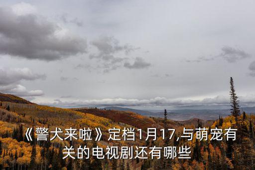 《警犬來啦》定檔1月17,與萌寵有關的電視劇還有哪些