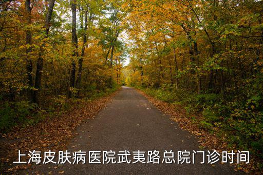 上海皮膚病醫院武夷路總院門診時間