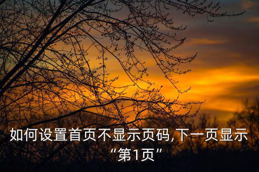 如何設(shè)置首頁不顯示頁碼,下一頁顯示“第1頁”