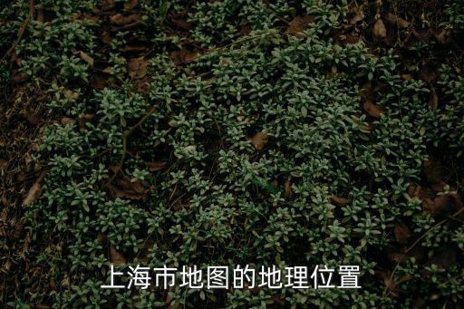 上海市地圖的地理位置