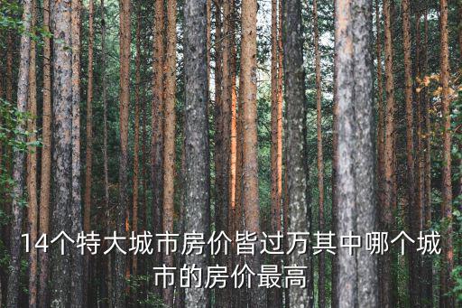 14個特大城市房價皆過萬其中哪個城市的房價最高