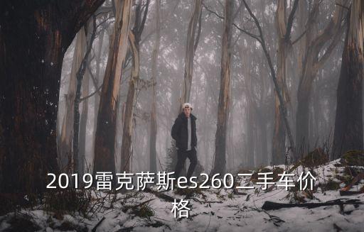 2019雷克薩斯es260二手車(chē)價(jià)格