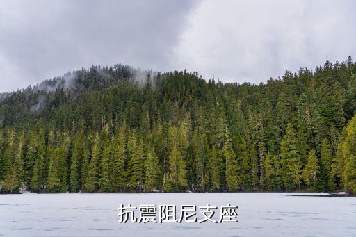抗震阻尼支座