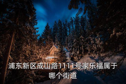 浦東新區成山路1111號家樂福屬于哪個街道