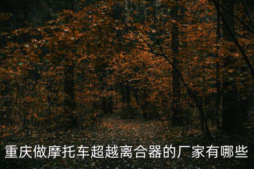 重慶做摩托車超越離合器的廠家有哪些