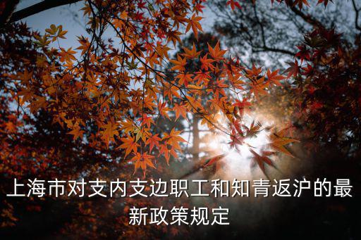 上海市對支內(nèi)支邊職工和知青返滬的最新政策規(guī)定