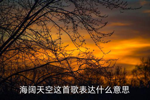 當我們海闊天空,第二集:第二場選區競選廣播
