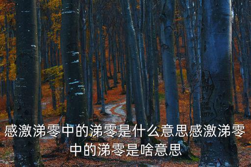 感激涕零中的涕零是什么意思感激涕零中的涕零是啥意思