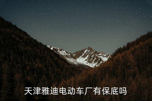 天津雅迪電動車廠有保底嗎