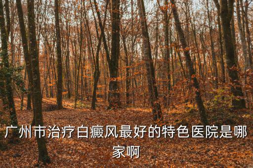 廣州市治療白癜風最好的特色醫院是哪家啊