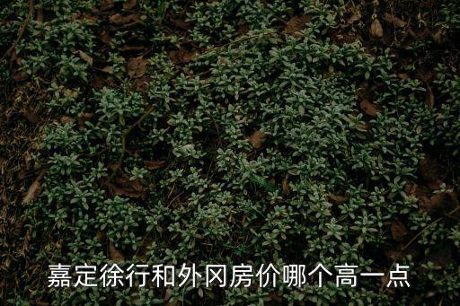 嘉定徐行和外岡房價哪個高一點