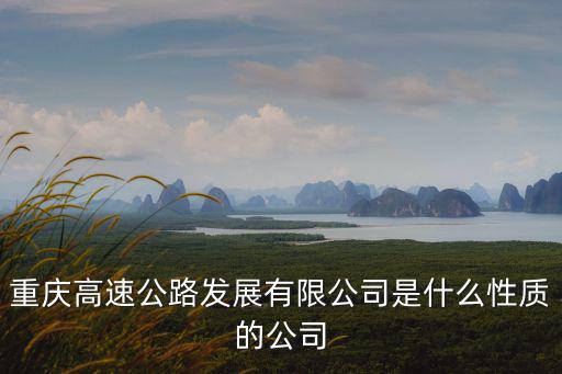 重慶高速公路發(fā)展有限公司是什么性質(zhì)的公司