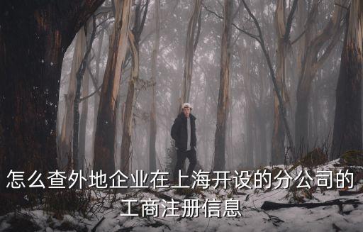 怎么查外地企業(yè)在上海開(kāi)設(shè)的分公司的工商注冊(cè)信息