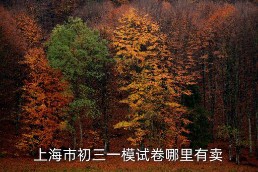 2018上海市初三化學(xué)一模卷，上海市初三一模試卷哪里有賣(mài)