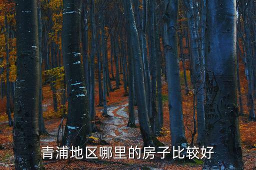 青浦地區哪里的房子比較好