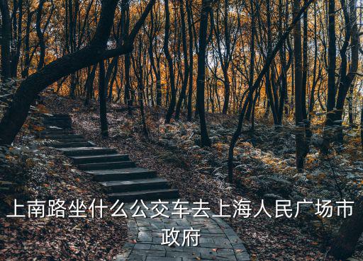上南路坐什么公交車去上海人民廣場市政府