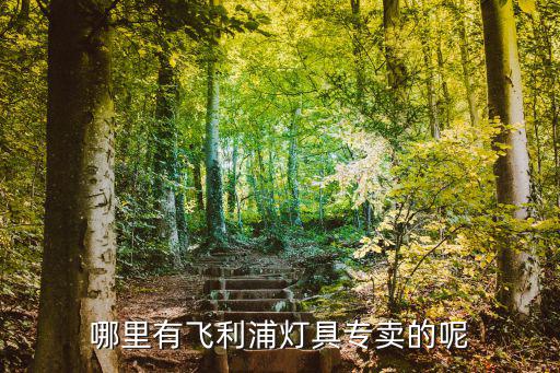 哪里有飛利浦燈具專賣的呢
