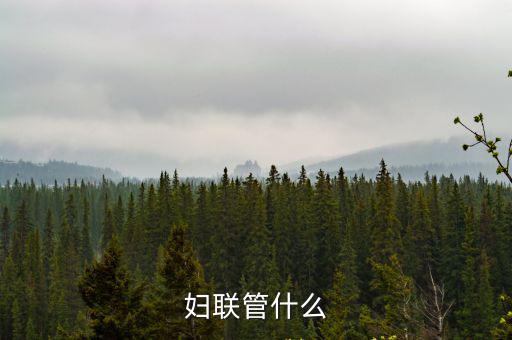 婦聯(lián)工作,中國婦女十一大以來各級婦聯(lián)堅持圍繞中心服務(wù)大局