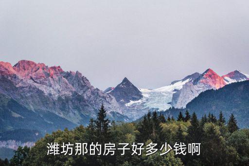 濰坊那的房子好多少錢啊