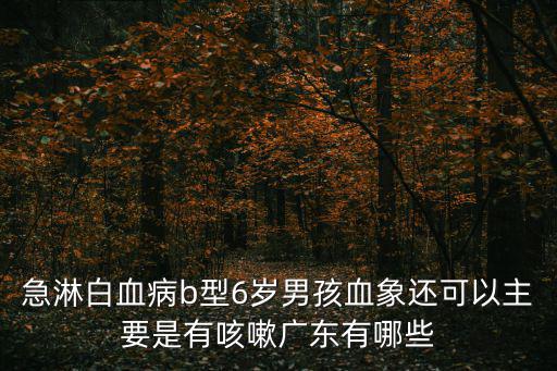 急淋白血病b型6歲男孩血象還可以主要是有咳嗽廣東有哪些