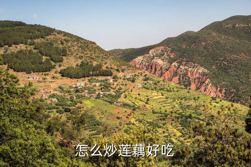 蓮菜怎么炒好吃,彩椒炒蓮藕怎么炒好吃?
