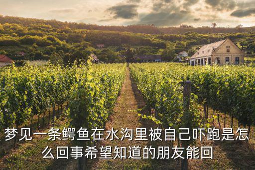夢見一條鱷魚在水溝里被自己嚇跑是怎么回事希望知道的朋友能回